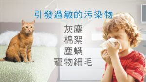jair-215空氣清淨機低噪音安靜無聲對抗空氣汙染過敏