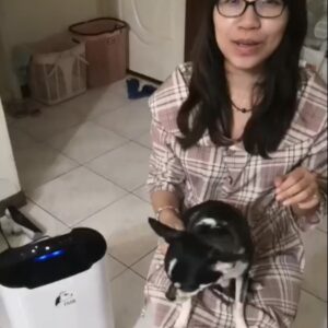 jair空氣清淨機|迦拓科技|低噪音安靜無聲客戶評價